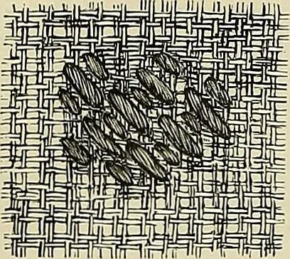 An illustration from The dictionary of needlework : an encyclopædia of artistic, plain, and fancy needlework ..., 1882, leaf 41