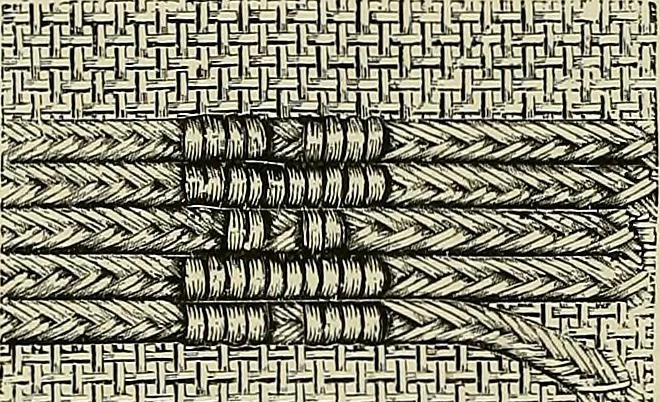 An illustration from The dictionary of needlework : an encyclopædia of artistic, plain, and fancy needlework ..., 1882, leaf 41