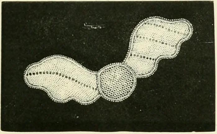 An illustration from The dictionary of needlework : an encyclopædia of artistic, plain, and fancy needlework ..., 1882, leaf 416