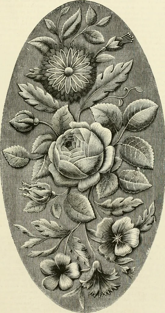 An illustration from The dictionary of needlework : an encyclopædia of artistic, plain, and fancy needlework ..., 1882, leaf 428