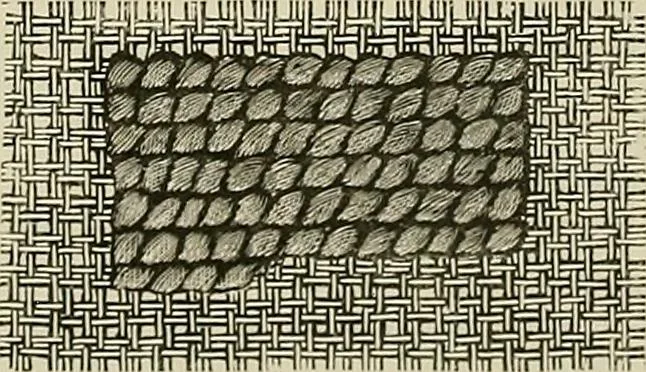 An illustration from The dictionary of needlework : an encyclopædia of artistic, plain, and fancy needlework ..., 1882, leaf 43