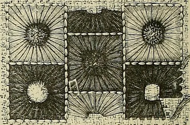 An illustration from The dictionary of needlework : an encyclopædia of artistic, plain, and fancy needlework ..., 1882, leaf 43