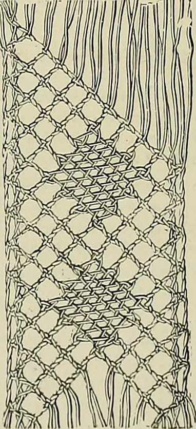 An illustration from The dictionary of needlework : an encyclopædia of artistic, plain, and fancy needlework ..., 1882, leaf 451