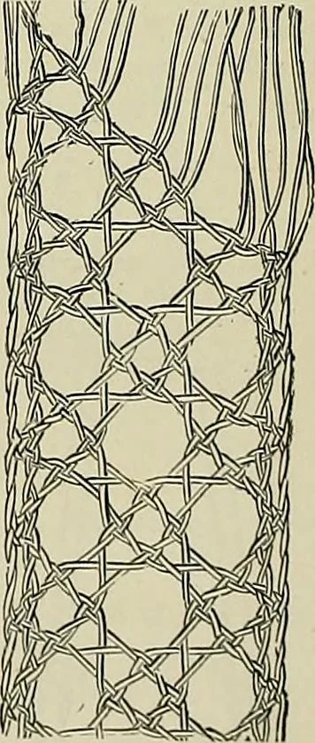 An illustration from The dictionary of needlework : an encyclopædia of artistic, plain, and fancy needlework ..., 1882, leaf 451