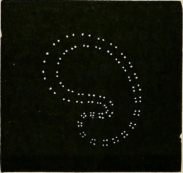 An illustration from The dictionary of needlework : an encyclopædia of artistic, plain, and fancy needlework ..., 1882, leaf 467