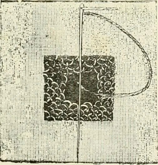 An illustration from The dictionary of needlework : an encyclopædia of artistic, plain, and fancy needlework ..., 1882, leaf 480