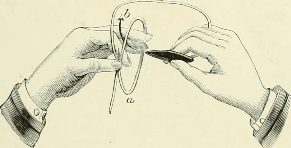 An illustration from The dictionary of needlework : an encyclopædia of artistic, plain, and fancy needlework ..., 1882, leaf 488