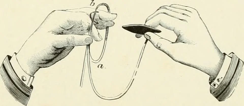 An illustration from The dictionary of needlework : an encyclopædia of artistic, plain, and fancy needlework ..., 1882, leaf 488