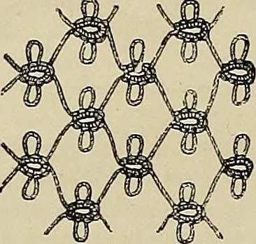 An illustration from The dictionary of needlework : an encyclopædia of artistic, plain, and fancy needlework ..., 1882, leaf 495