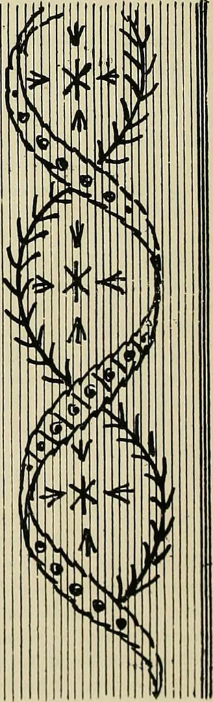 An illustration from The dictionary of needlework : an encyclopædia of artistic, plain, and fancy needlework ..., 1882, leaf 503