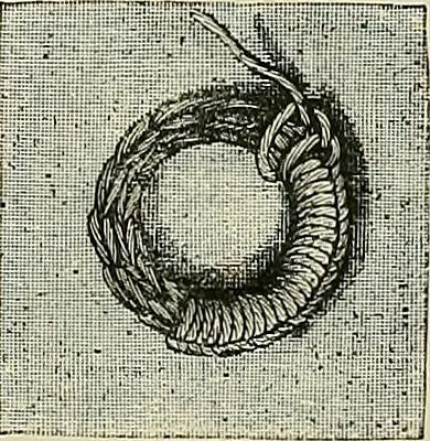 An illustration from The dictionary of needlework : an encyclopædia of artistic, plain, and fancy needlework ..., 1882, leaf 529