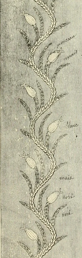 An illustration from The dictionary of needlework : an encyclopædia of artistic, plain, and fancy needlework ..., 1882, leaf 56