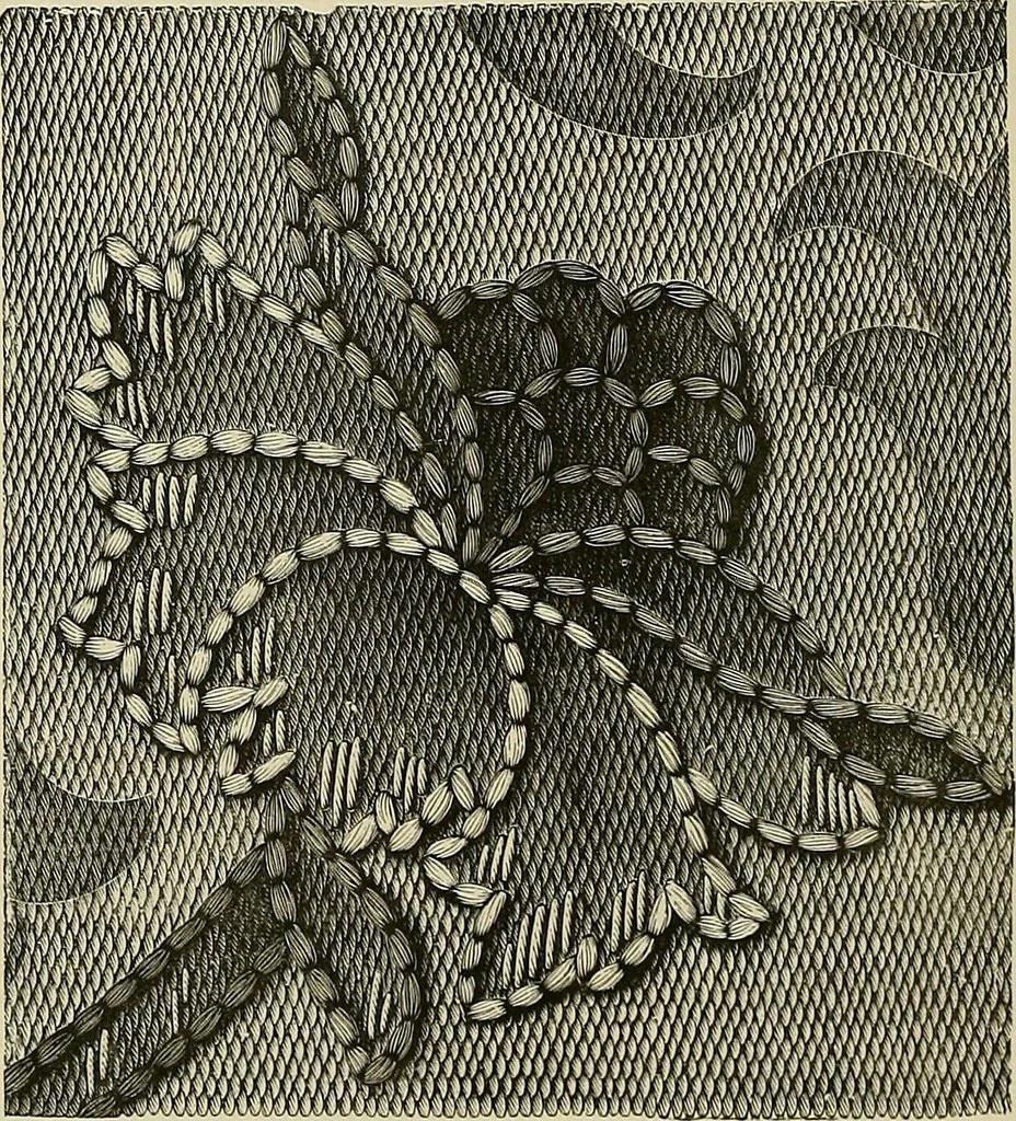 An illustration from The dictionary of needlework : an encyclopædia of artistic, plain, and fancy needlework ..., 1882, leaf 59