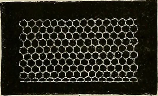 An illustration from The dictionary of needlework : an encyclopædia of artistic, plain, and fancy needlework ..., 1882, leaf 61