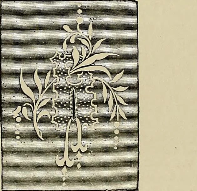 An illustration from The dictionary of needlework : an encyclopædia of artistic, plain, and fancy needlework ..., 1882, leaf 67