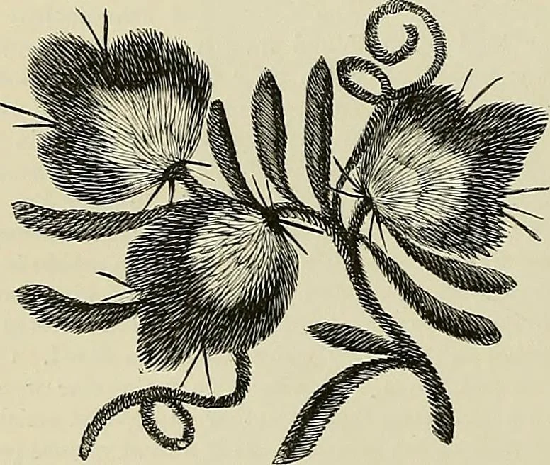An illustration from The dictionary of needlework : an encyclopædia of artistic, plain, and fancy needlework ..., 1882, leaf 71
