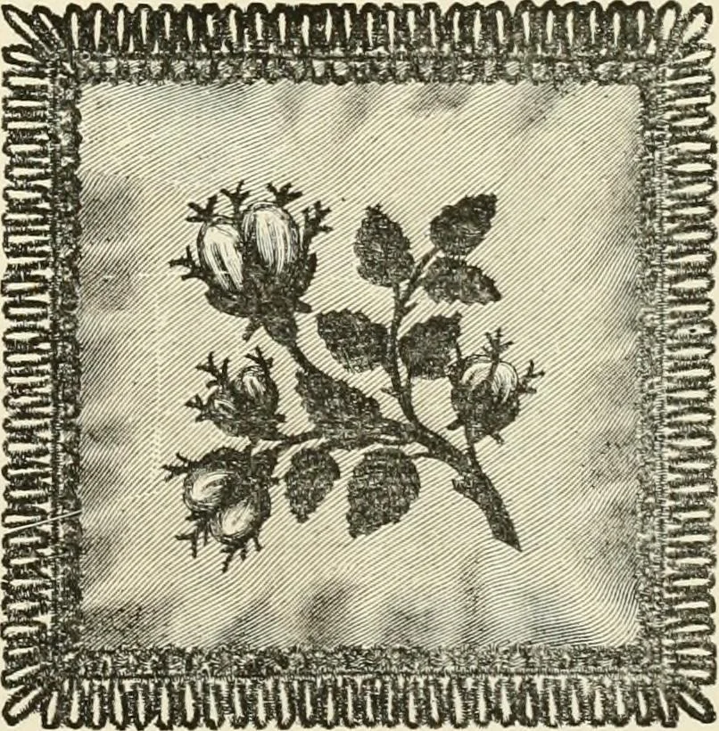 An illustration from The dictionary of needlework : an encyclopædia of artistic, plain, and fancy needlework ..., 1882, leaf 76