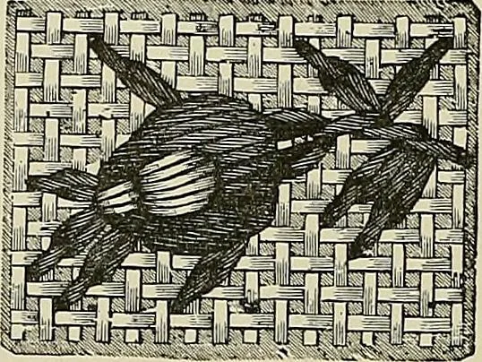 An illustration from The dictionary of needlework : an encyclopædia of artistic, plain, and fancy needlework ..., 1882, leaf 77