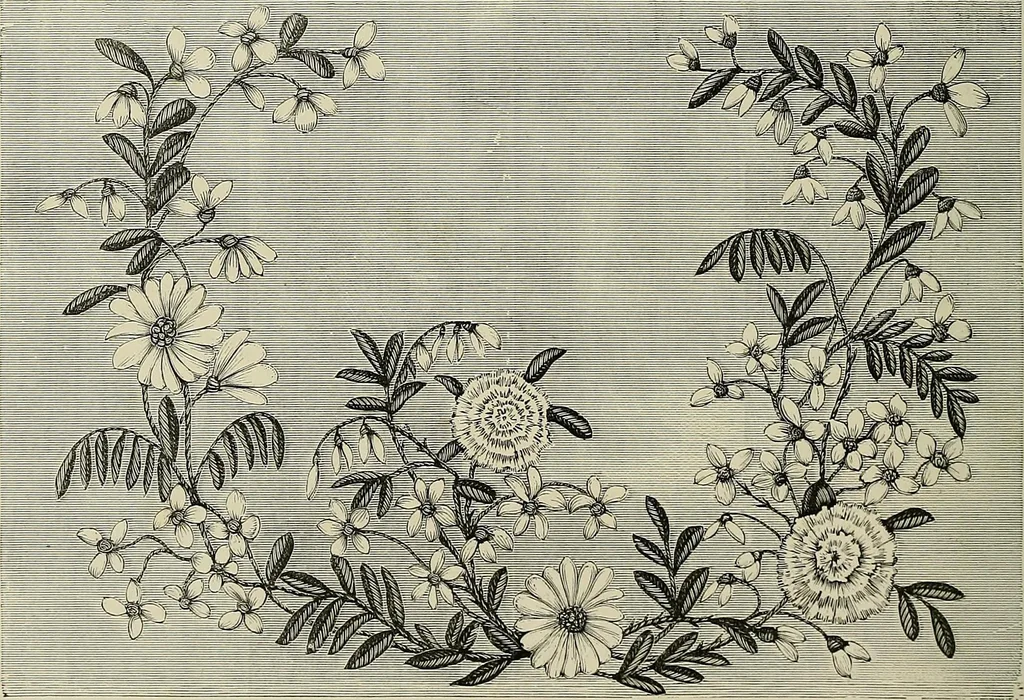 An illustration from The dictionary of needlework : an encyclopædia of artistic, plain, and fancy needlework ..., 1882, leaf 79