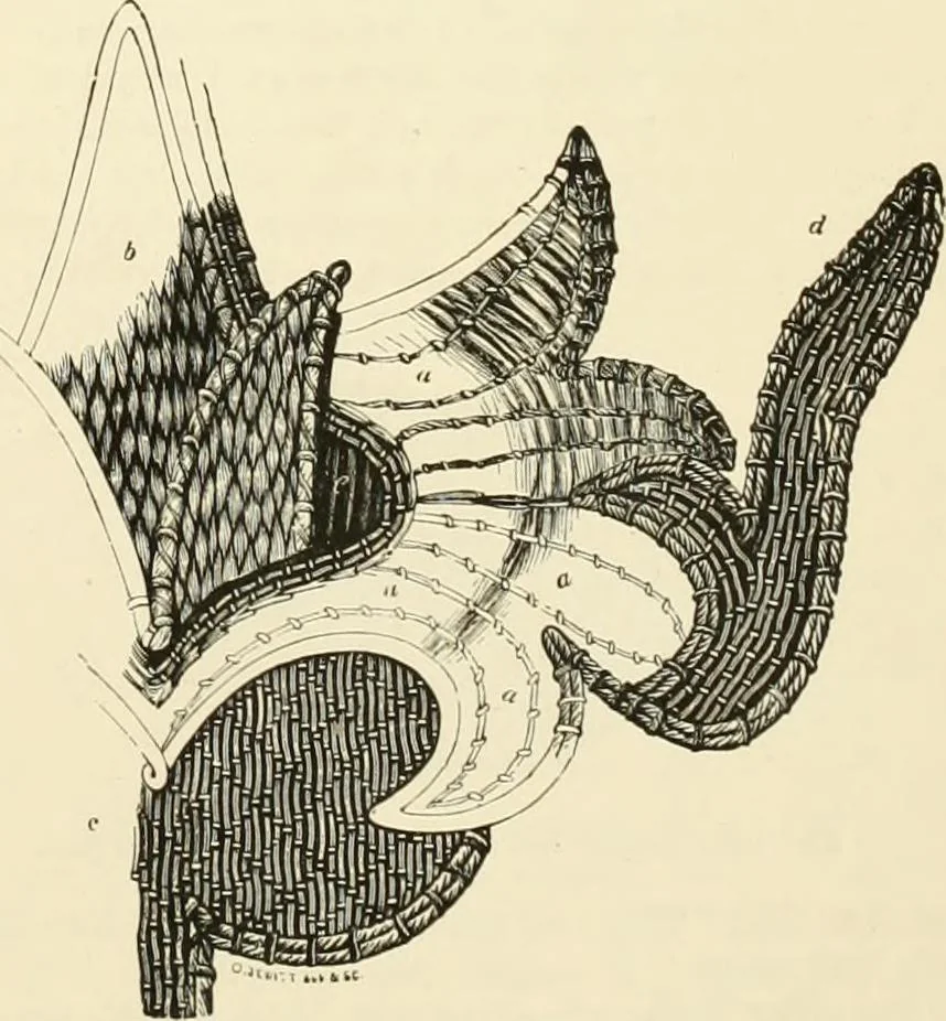 An illustration from The dictionary of needlework : an encyclopædia of artistic, plain, and fancy needlework ..., 1882, leaf 84