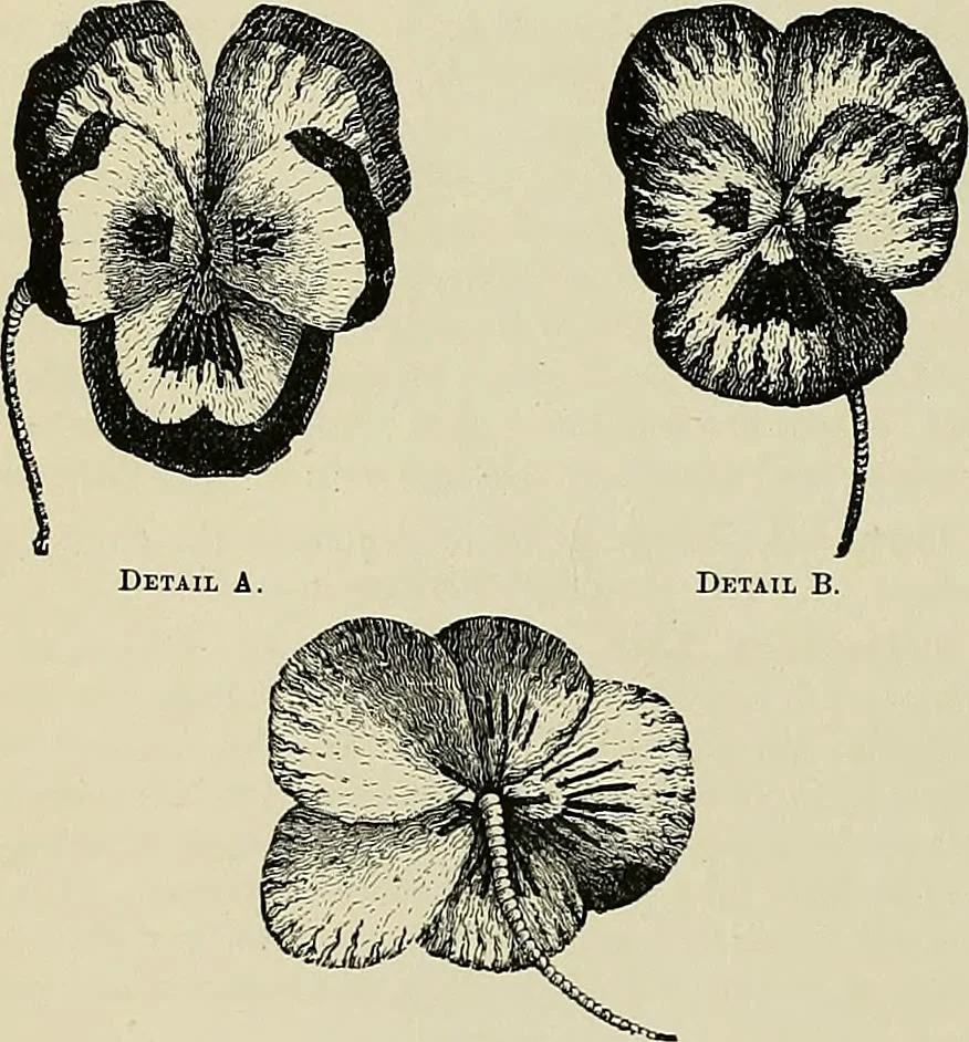 An illustration from The dictionary of needlework : an encyclopædia of artistic, plain, and fancy needlework ..., 1882, leaf 97