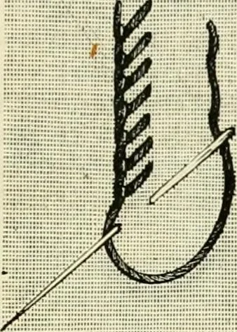 An illustration from The dictionary of needlework : an encyclopædia of artistic, plain, and fancy needlework ..., 1882, leaf 98