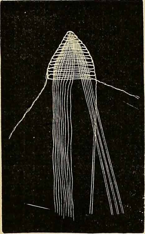 An illustration from The dictionary of needlework : an encyclopaedia of artistic, plain, and fancy needlework. Dealing fully with the details of all the stitches employed, the method of working, the materials used, the meaning of technical terms, and, where necessary, tracing the origin and history of the various works described. Illustrated with upwards of 800 wood engravings, and coloured plates. Plain sewing, textiles, dressmaking, appliances, and terms, 1885, leaf 106