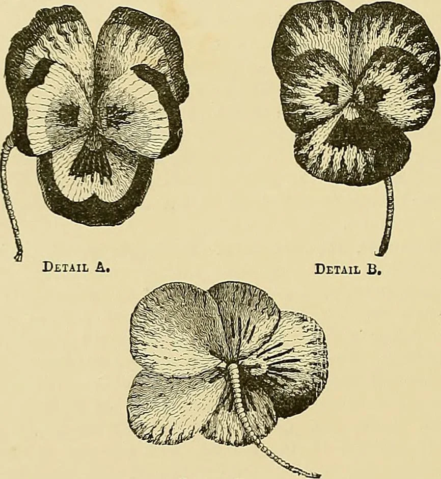 An illustration from The dictionary of needlework : an encyclopaedia of artistic, plain, and fancy needlework. Dealing fully with the details of all the stitches employed, the method of working, the materials used, the meaning of technical terms, and, where necessary, tracing the origin and history of the various works described. Illustrated with upwards of 800 wood engravings, and coloured plates. Plain sewing, textiles, dressmaking, appliances, and terms, 1885, leaf 113