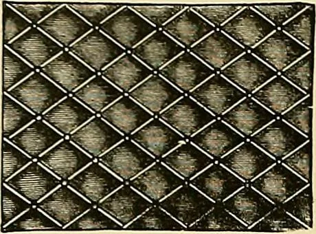 An illustration from The dictionary of needlework : an encyclopaedia of artistic, plain, and fancy needlework. Dealing fully with the details of all the stitches employed, the method of working, the materials used, the meaning of technical terms, and, where necessary, tracing the origin and history of the various works described. Illustrated with upwards of 800 wood engravings, and coloured plates. Plain sewing, textiles, dressmaking, appliances, and terms, 1885, leaf 119