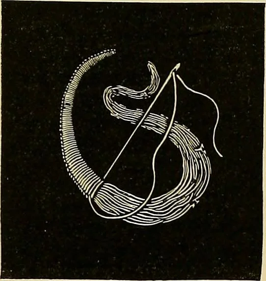 An illustration from The dictionary of needlework : an encyclopaedia of artistic, plain, and fancy needlework. Dealing fully with the details of all the stitches employed, the method of working, the materials used, the meaning of technical terms, and, where necessary, tracing the origin and history of the various works described. Illustrated with upwards of 800 wood engravings, and coloured plates. Plain sewing, textiles, dressmaking, appliances, and terms, 1885, leaf 122