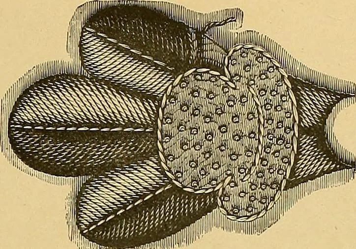 An illustration from The dictionary of needlework : an encyclopaedia of artistic, plain, and fancy needlework. Dealing fully with the details of all the stitches employed, the method of working, the materials used, the meaning of technical terms, and, where necessary, tracing the origin and history of the various works described. Illustrated with upwards of 800 wood engravings, and coloured plates. Plain sewing, textiles, dressmaking, appliances, and terms, 1885, leaf 154