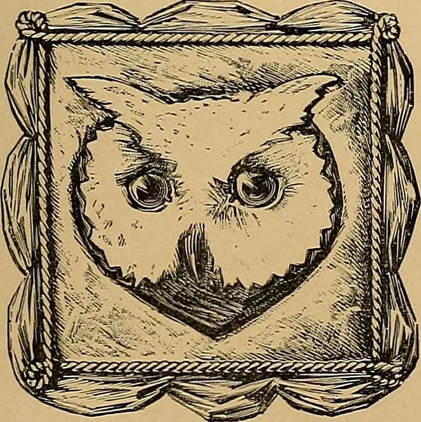 An illustration from The dictionary of needlework : an encyclopaedia of artistic, plain, and fancy needlework. Dealing fully with the details of all the stitches employed, the method of working, the materials used, the meaning of technical terms, and, where necessary, tracing the origin and history of the various works described. Illustrated with upwards of 800 wood engravings, and coloured plates. Plain sewing, textiles, dressmaking, appliances, and terms, 1885, leaf 164