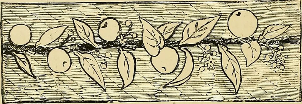 An illustration from The dictionary of needlework : an encyclopaedia of artistic, plain, and fancy needlework. Dealing fully with the details of all the stitches employed, the method of working, the materials used, the meaning of technical terms, and, where necessary, tracing the origin and history of the various works described. Illustrated with upwards of 800 wood engravings, and coloured plates. Plain sewing, textiles, dressmaking, appliances, and terms, 1885, leaf 21