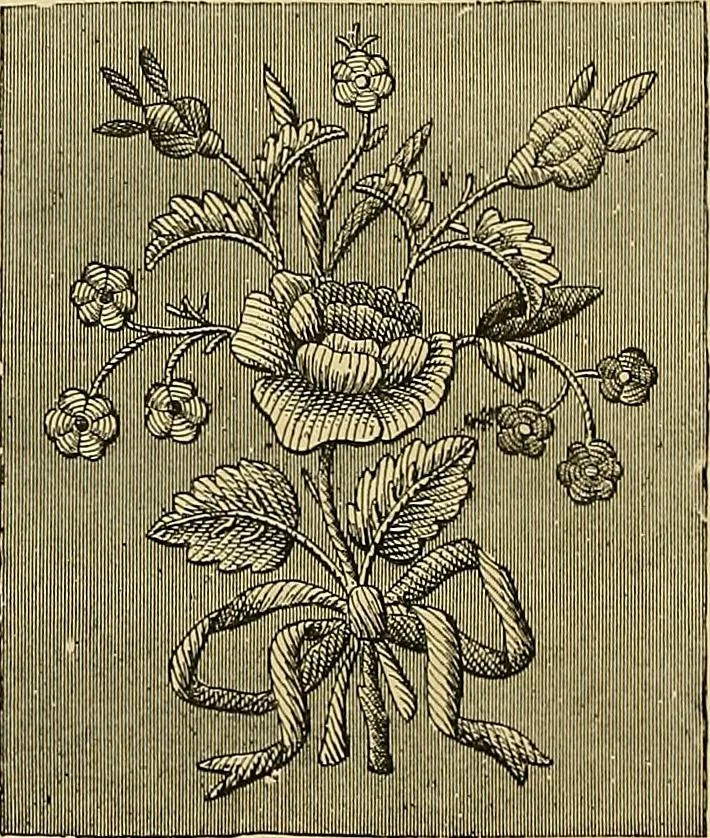 An illustration from The dictionary of needlework : an encyclopaedia of artistic, plain, and fancy needlework. Dealing fully with the details of all the stitches employed, the method of working, the materials used, the meaning of technical terms, and, where necessary, tracing the origin and history of the various works described. Illustrated with upwards of 800 wood engravings, and coloured plates. Plain sewing, textiles, dressmaking, appliances, and terms, 1885, leaf 29