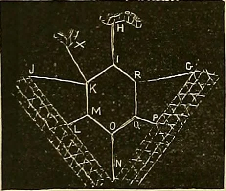 An illustration from The dictionary of needlework : an encyclopaedia of artistic, plain, and fancy needlework. Dealing fully with the details of all the stitches employed, the method of working, the materials used, the meaning of technical terms, and, where necessary, tracing the origin and history of the various works described. Illustrated with upwards of 800 wood engravings, and coloured plates. Plain sewing, textiles, dressmaking, appliances, and terms, 1885, leaf 33