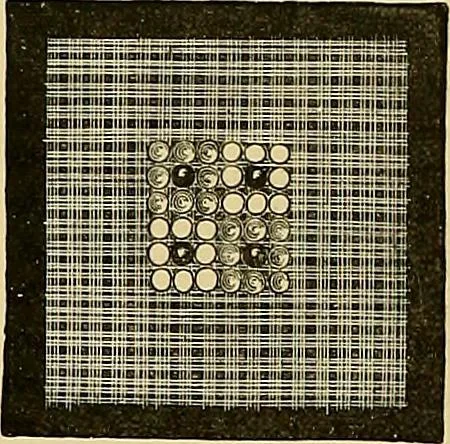 An illustration from The dictionary of needlework : an encyclopaedia of artistic, plain, and fancy needlework. Dealing fully with the details of all the stitches employed, the method of working, the materials used, the meaning of technical terms, and, where necessary, tracing the origin and history of the various works described. Illustrated with upwards of 800 wood engravings, and coloured plates. Plain sewing, textiles, dressmaking, appliances, and terms, 1885, leaf 39