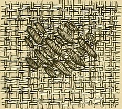 An illustration from The dictionary of needlework : an encyclopaedia of artistic, plain, and fancy needlework. Dealing fully with the details of all the stitches employed, the method of working, the materials used, the meaning of technical terms, and, where necessary, tracing the origin and history of the various works described. Illustrated with upwards of 800 wood engravings, and coloured plates. Plain sewing, textiles, dressmaking, appliances, and terms, 1885, leaf 47