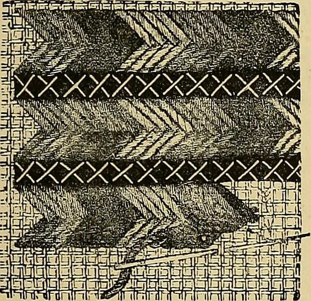An illustration from The dictionary of needlework : an encyclopaedia of artistic, plain, and fancy needlework. Dealing fully with the details of all the stitches employed, the method of working, the materials used, the meaning of technical terms, and, where necessary, tracing the origin and history of the various works described. Illustrated with upwards of 800 wood engravings, and coloured plates. Plain sewing, textiles, dressmaking, appliances, and terms, 1885, leaf 48