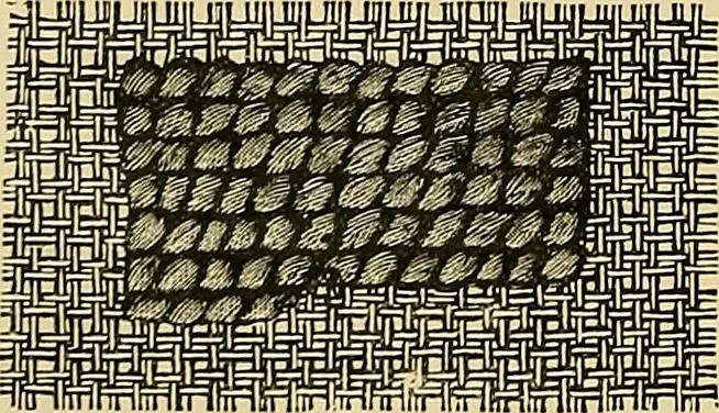 An illustration from The dictionary of needlework : an encyclopaedia of artistic, plain, and fancy needlework. Dealing fully with the details of all the stitches employed, the method of working, the materials used, the meaning of technical terms, and, where necessary, tracing the origin and history of the various works described. Illustrated with upwards of 800 wood engravings, and coloured plates. Plain sewing, textiles, dressmaking, appliances, and terms, 1885, leaf 49