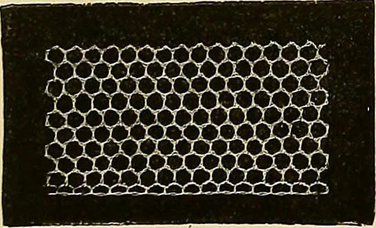 An illustration from The dictionary of needlework : an encyclopaedia of artistic, plain, and fancy needlework. Dealing fully with the details of all the stitches employed, the method of working, the materials used, the meaning of technical terms, and, where necessary, tracing the origin and history of the various works described. Illustrated with upwards of 800 wood engravings, and coloured plates. Plain sewing, textiles, dressmaking, appliances, and terms, 1885, leaf 69