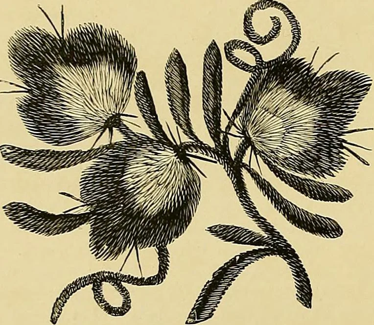 An illustration from The dictionary of needlework : an encyclopaedia of artistic, plain, and fancy needlework. Dealing fully with the details of all the stitches employed, the method of working, the materials used, the meaning of technical terms, and, where necessary, tracing the origin and history of the various works described. Illustrated with upwards of 800 wood engravings, and coloured plates. Plain sewing, textiles, dressmaking, appliances, and terms, 1885, leaf 81
