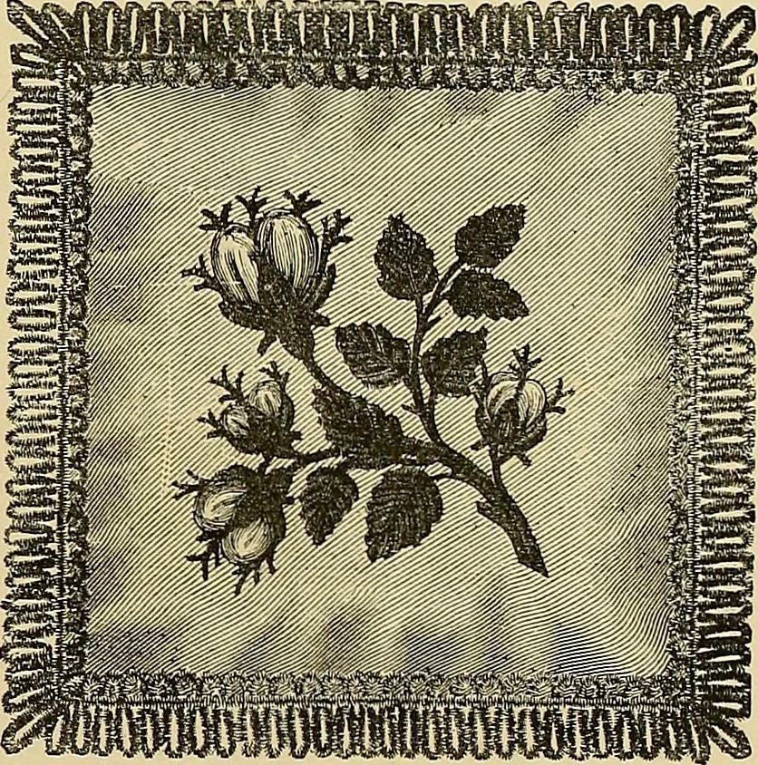 An illustration from The dictionary of needlework : an encyclopaedia of artistic, plain, and fancy needlework. Dealing fully with the details of all the stitches employed, the method of working, the materials used, the meaning of technical terms, and, where necessary, tracing the origin and history of the various works described. Illustrated with upwards of 800 wood engravings, and coloured plates. Plain sewing, textiles, dressmaking, appliances, and terms, 1885, leaf 88