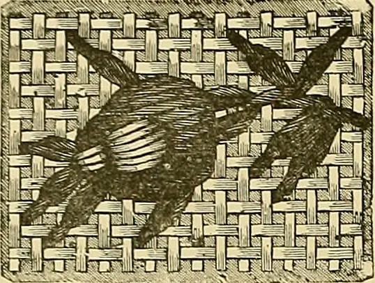 An illustration from The dictionary of needlework : an encyclopaedia of artistic, plain, and fancy needlework. Dealing fully with the details of all the stitches employed, the method of working, the materials used, the meaning of technical terms, and, where necessary, tracing the origin and history of the various works described. Illustrated with upwards of 800 wood engravings, and coloured plates. Plain sewing, textiles, dressmaking, appliances, and terms, 1885, leaf 89