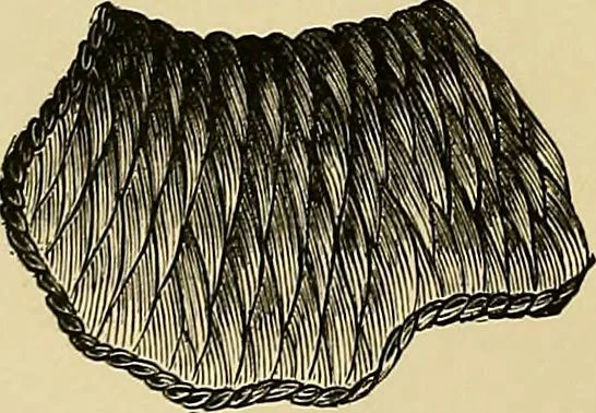 An illustration from The dictionary of needlework : an encyclopaedia of artistic, plain, and fancy needlework. Dealing fully with the details of all the stitches employed, the method of working, the materials used, the meaning of technical terms, and, where necessary, tracing the origin and history of the various works described. Illustrated with upwards of 800 wood engravings, and coloured plates. Plain sewing, textiles, dressmaking, appliances, and terms, 1885, leaf 97