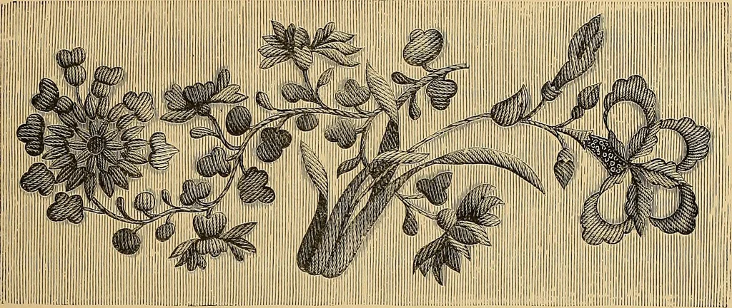 An illustration from The dictionary of needlework : an encyclopaedia of artistic, plain, and fancy needlework. Dealing fully with the details of all the stitches employed, the method of working, the materials used, the meaning of technical terms, and, where necessary, tracing the origin and history of the various works described. Illustrated with upwards of 800 wood engravings, and coloured plates. Plain sewing, textiles, dressmaking, appliances, and terms, 1885, leaf 129