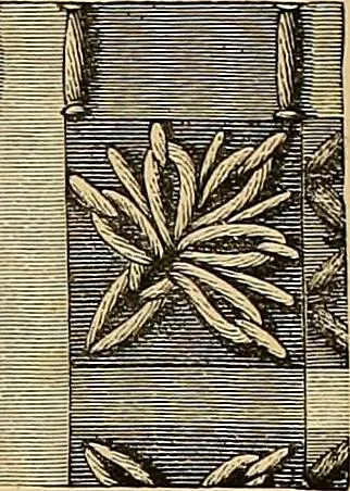 An illustration from The dictionary of needlework : an encyclopaedia of artistic, plain, and fancy needlework. Dealing fully with the details of all the stitches employed, the method of working, the materials used, the meaning of technical terms, and, where necessary, tracing the origin and history of the various works described. Illustrated with upwards of 800 wood engravings, and coloured plates. Plain sewing, textiles, dressmaking, appliances, and terms, 1885, leaf 165