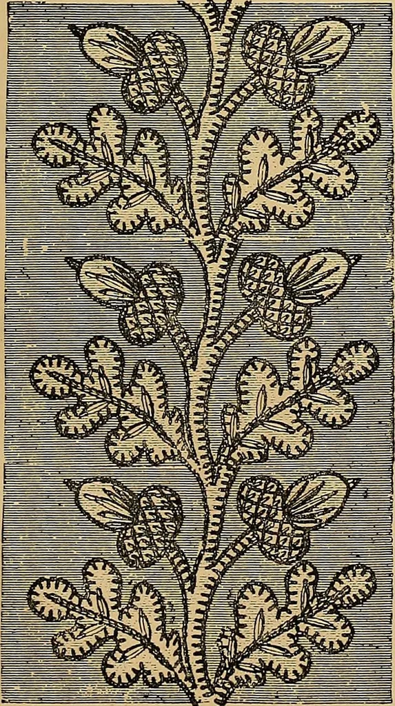 An illustration from The dictionary of needlework : an encyclopaedia of artistic, plain, and fancy needlework. Dealing fully with the details of all the stitches employed, the method of working, the materials used, the meaning of technical terms, and, where necessary, tracing the origin and history of the various works described. Illustrated with upwards of 800 wood engravings, and coloured plates. Plain sewing, textiles, dressmaking, appliances, and terms, 1885, leaf 167