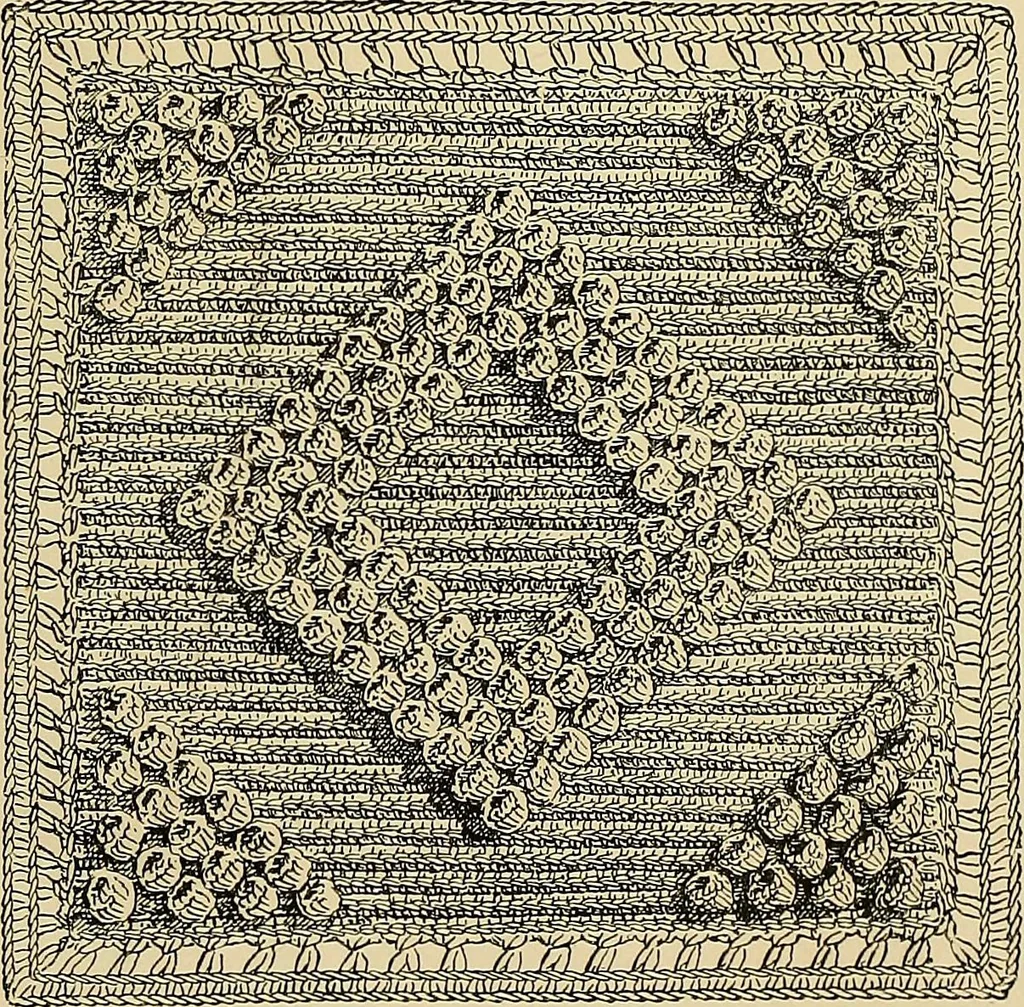 An illustration from The dictionary of needlework : an encyclopaedia of artistic, plain, and fancy needlework. Dealing fully with the details of all the stitches employed, the method of working, the materials used, the meaning of technical terms, and, where necessary, tracing the origin and history of the various works described. Illustrated with upwards of 800 wood engravings, and coloured plates. Plain sewing, textiles, dressmaking, appliances, and terms, 1885, leaf 31