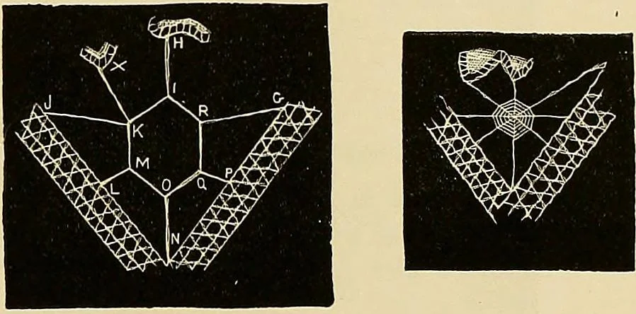 An illustration from The dictionary of needlework : an encyclopaedia of artistic, plain, and fancy needlework. Dealing fully with the details of all the stitches employed, the method of working, the materials used, the meaning of technical terms, and, where necessary, tracing the origin and history of the various works described. Illustrated with upwards of 800 wood engravings, and coloured plates. Plain sewing, textiles, dressmaking, appliances, and terms, 1885, leaf 57