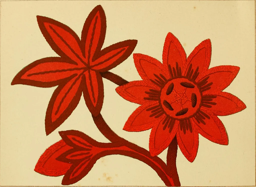 An illustration from The dictionary of needlework : an encyclopaedia of artistic, plain, and fancy needlework. Dealing fully with the details of all the stitches employed, the method of working, the materials used, the meaning of technical terms, and, where necessary, tracing the origin and history of the various works described. Illustrated with upwards of 800 wood engravings, and coloured plates. Plain sewing, textiles, dressmaking, appliances, and terms, 1885, leaf 6